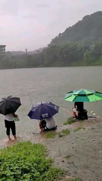 济宁下雨钓鱼怎么样，济宁下雨吗！-第2张图片-平阳县乌魄百货商行