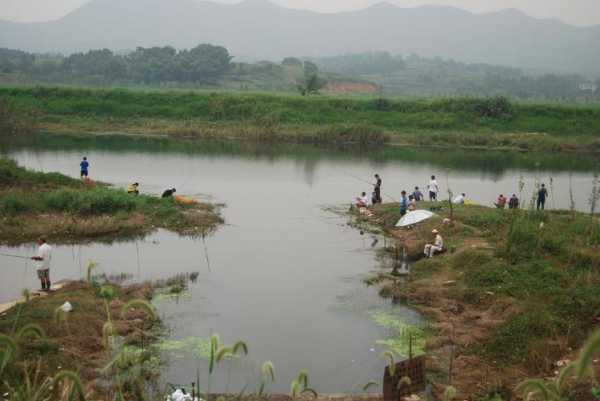 河流山边钓鱼怎么样，河边钓鱼钓岸边还是中间？-第2张图片-平阳县乌魄百货商行