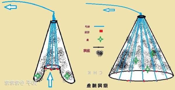 怎么样用网钓鱼，钓网使用方法？-第3张图片-平阳县乌魄百货商行