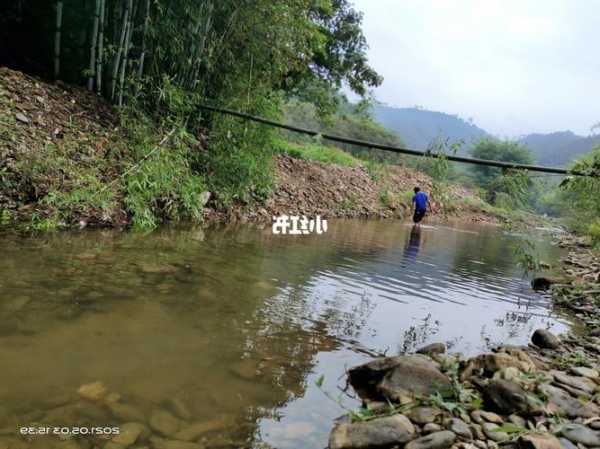 山溪里钓鱼怎么样，山溪抓鱼！-第3张图片-平阳县乌魄百货商行