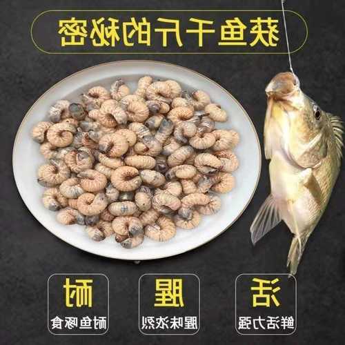 活体生物钓鱼怎么样，活体钓鱼饵料排名?-第2张图片-平阳县乌魄百货商行