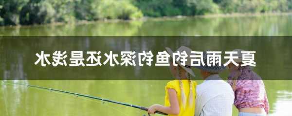 初夏早晨钓鱼怎么样？夏季早晨钓鱼钓深水还是浅水？-第1张图片-平阳县乌魄百货商行