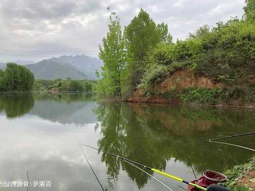 山水野游钓鱼怎么样，山水野趣！-第1张图片-平阳县乌魄百货商行