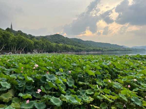 断桥边钓鱼怎么样，断桥边钓鱼怎么样好钓吗-第3张图片-平阳县乌魄百货商行