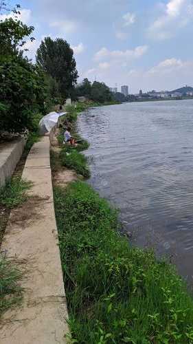 湖边搭棚钓鱼怎么样，湖边搭棚钓鱼怎么样钓？-第2张图片-平阳县乌魄百货商行