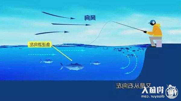 冬季钓鱼怎么样钓，冬季钓鱼怎么选择钓位钓饵？-第2张图片-平阳县乌魄百货商行