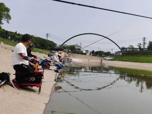 西岸闸口钓鱼怎么样，西岸闸口钓鱼怎么样好钓吗-第1张图片-平阳县乌魄百货商行