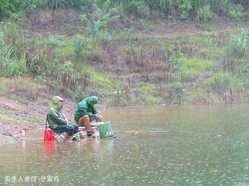 夏季雨前钓鱼怎么样，夏季雨前钓鱼怎么样好钓吗？-第3张图片-平阳县乌魄百货商行