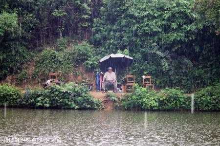 夏季雨前钓鱼怎么样，夏季雨前钓鱼怎么样好钓吗？-第1张图片-平阳县乌魄百货商行