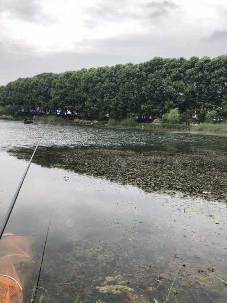 栖霞水库钓鱼怎么样？栖霞水库钓鱼怎么样好钓吗？-第3张图片-平阳县乌魄百货商行