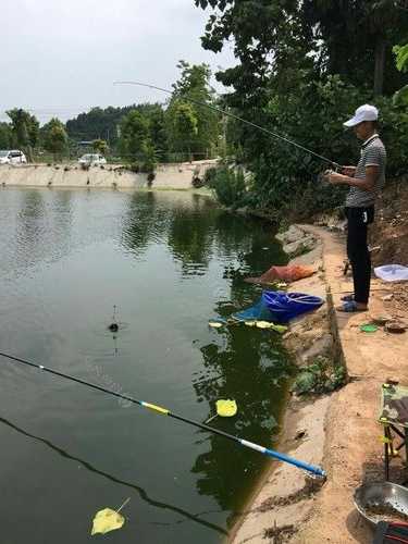 大堰河道钓鱼怎么样？大堰塘钓鱼？-第2张图片-平阳县乌魄百货商行