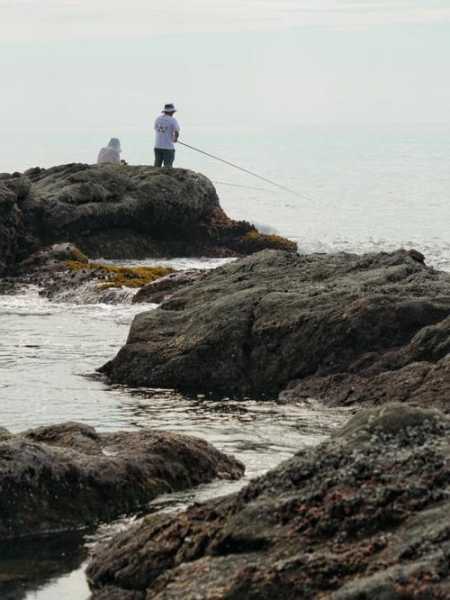 海里怎么样钓鱼最好，海里怎么样钓鱼最好视频-第2张图片-平阳县乌魄百货商行