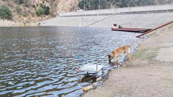 涡阳冬天钓鱼怎么样，涡阳冬天钓鱼怎么样啊？-第3张图片-平阳县乌魄百货商行