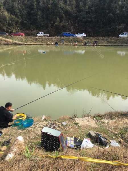 桃江兄弟钓鱼怎么样，桃江县钓鱼？-第1张图片-平阳县乌魄百货商行