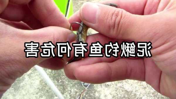 泥鳅夏天钓鱼怎么样？泥鳅野钓？-第2张图片-平阳县乌魄百货商行