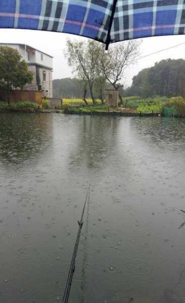 下雨海边钓鱼怎么样，下雨天海边能钓到鱼吗？-第2张图片-平阳县乌魄百货商行