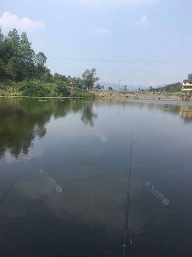 铜梁妹子钓鱼怎么样，铜梁野钓的地方有哪些？-第1张图片-平阳县乌魄百货商行