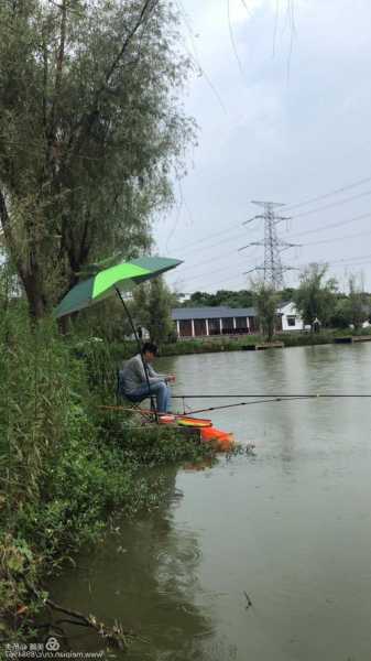 新塍钓鱼怎么样？新塍有啥好玩的地方？-第1张图片-平阳县乌魄百货商行