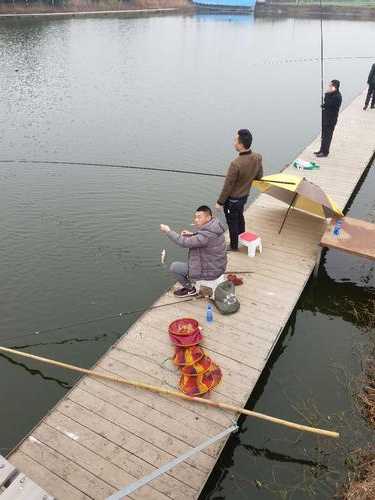 新旺农庄钓鱼怎么样，新旺农庄钓鱼怎么样啊-第2张图片-平阳县乌魄百货商行