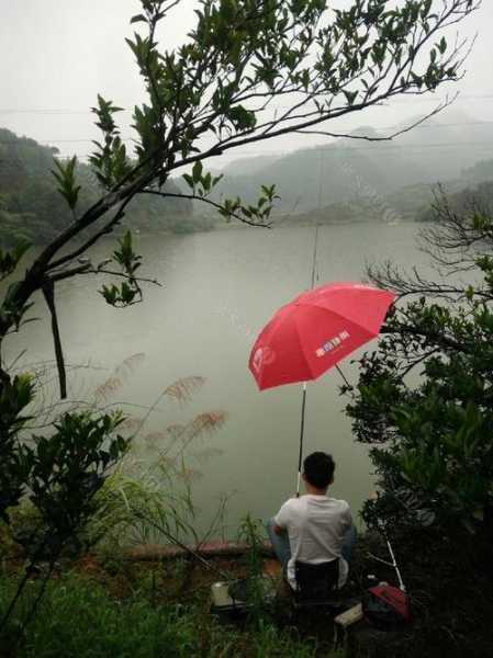 雨后阴天钓鱼怎么样，雨天后适合钓鱼吗-第1张图片-平阳县乌魄百货商行