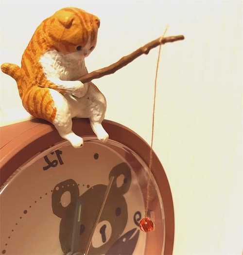 小猫贝贝钓鱼怎么样，贝贝猫猫-第1张图片-平阳县乌魄百货商行